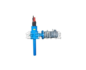 電(dian)動絲杆升降(jiàng)機